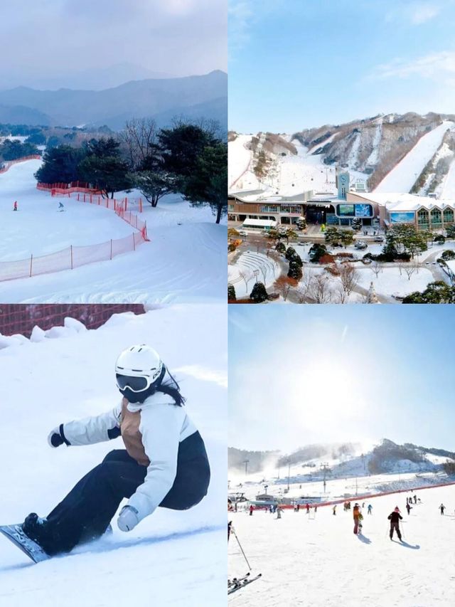 韓國洪川郡：小眾寶藏旅行地