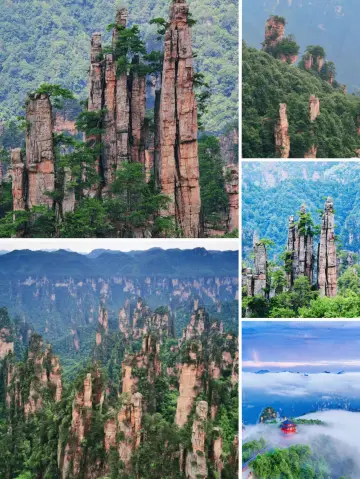 장가계에서 2일 동안 놀았는데, 제 소비가 무너졌어요! 보모급 피뢰 공략