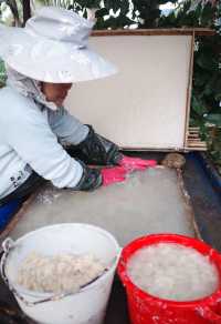一定要去一次的快樂老家孟定