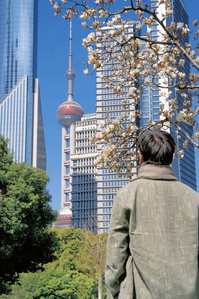 3.19上海的白玉蘭實在是太美了🌸