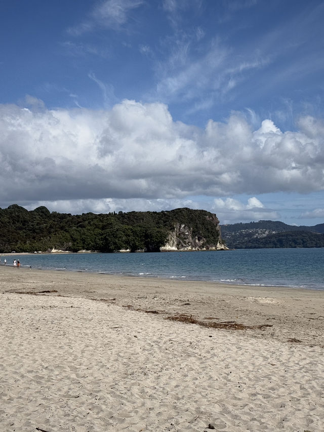Heaven On Earth At The Coromandel, North Island NZ 