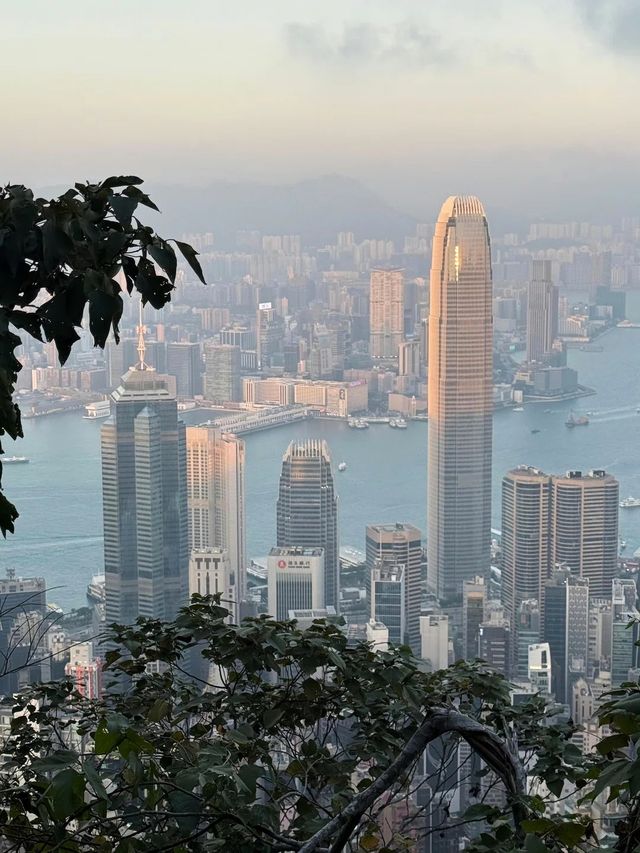 一定要去香港！推薦大家去，真的太正了！