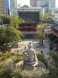 南京毗盧寺，一個來之前一定要做攻略的寺廟