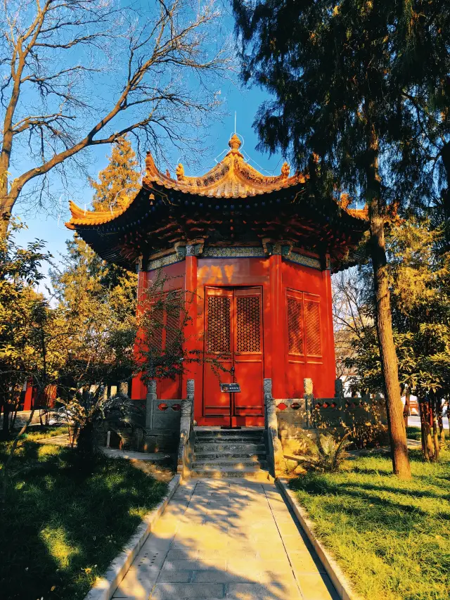 Flowers in Chang'an: Part 6 - Xi'an Beilin Museum