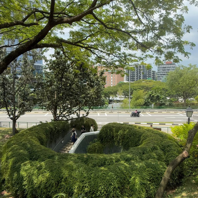 🇸🇬探秘新加坡 | 福康寧公園樹洞，藏在都市裡的綠野仙蹤