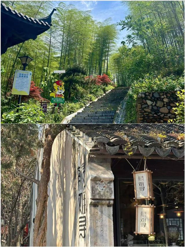 湖州中伏已回 唔建議去