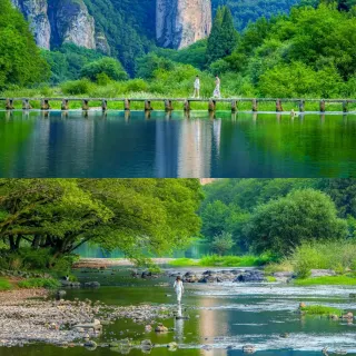 自然油絵湖四季作者名有