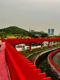 深圳最美的虹橋公園！！