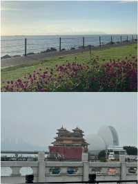 高鐵直達 第一次來珠海 這樣玩不踩雷