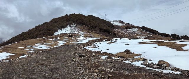 金川自駕遊，邂逅雪域梨鄉之美