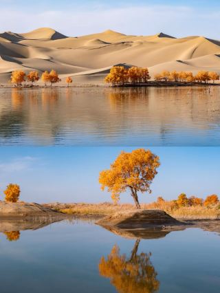 Explore the Poplar Desert and Uncover Ancient Cities