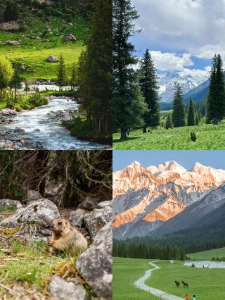 The Divine Beauty of Yili, Xinjiang in June