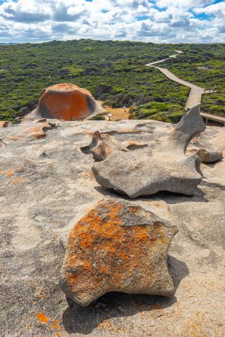 Featured in Lonely Planet, Kangaroo Island in South Australia has risen from the ashes.