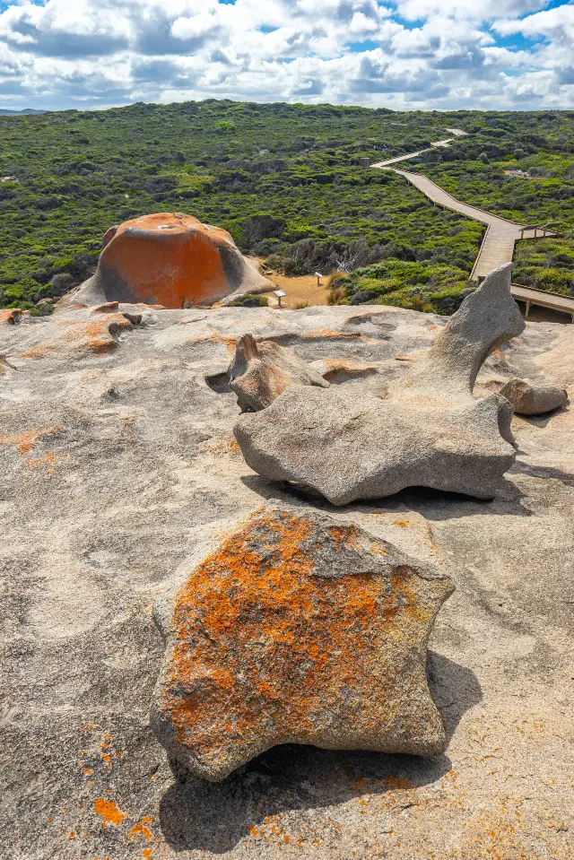 Featured in Lonely Planet, Kangaroo Island in South Australia has risen from the ashes.