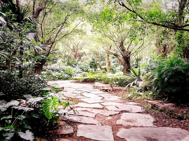 Guilin Botanical Garden: A Verdant Paradise