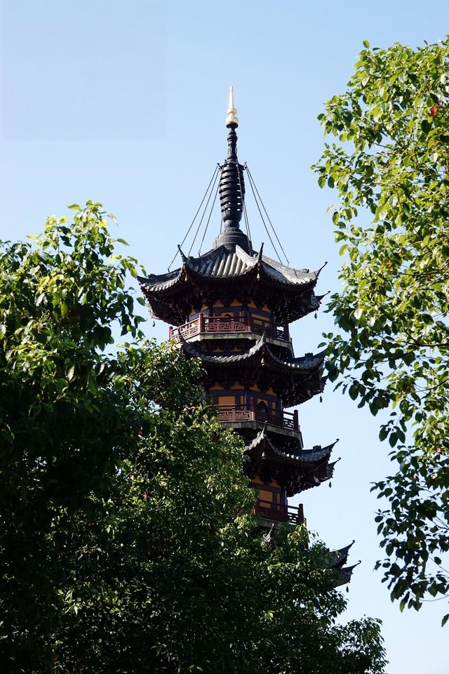 禪境龍華
