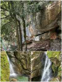 4月青城山點樣玩，睇呢一篇就夠晒