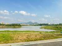 石岩湖濕地公園 | 環湖徒步騎行天花板
