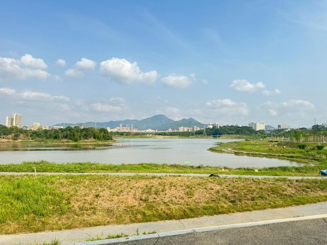 石岩湖濕地公園 | 環湖徒步騎行天花板
