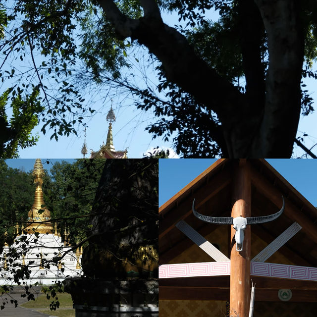 雲南·盈江｜ 避開五一不扎堆的邊境小城