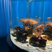 太美了！這家水族館做成了藝術展館！