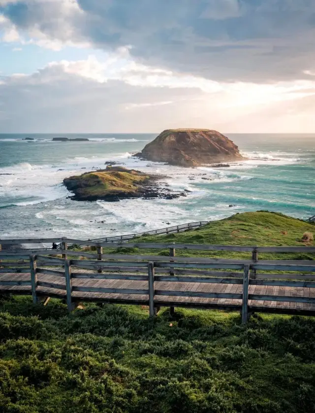 Still Available! Melbourne Penguin Watching + Steam Train Tour