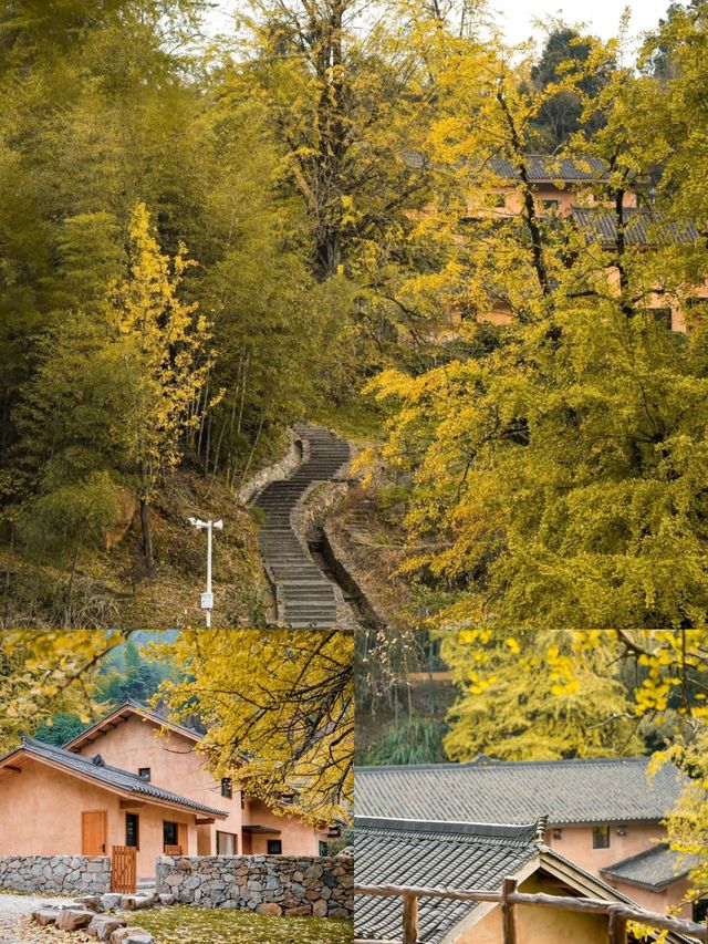 吉安萬安！解鎖親子度假寶藏住宿地！