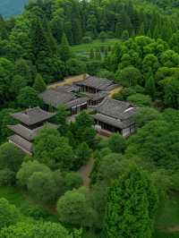 千萬別帶娃去松陽！這3個坑讓我困在秘境當野人