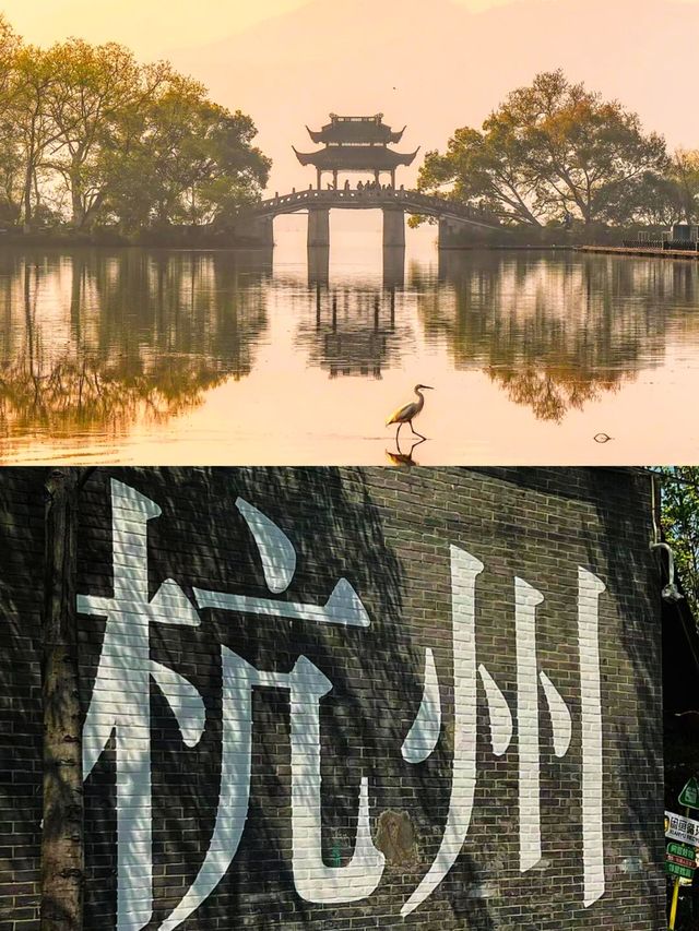 浙江四天三夜打卡