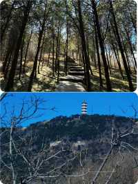小朋友走咗都念念不忘，一路嗌住仲想嚟呀！