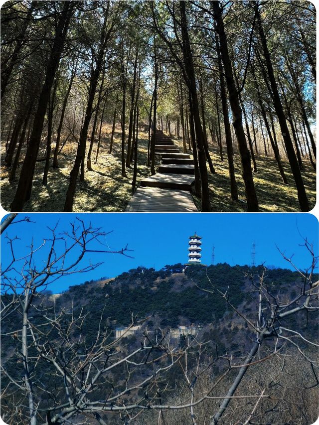 小朋友走咗都念念不忘，一路嗌住仲想嚟呀！