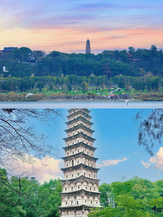 爆咗！南充竟然都藏住咁嘅 “網紅密碼