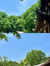 溫州聽勸來的，這麼玩太值了