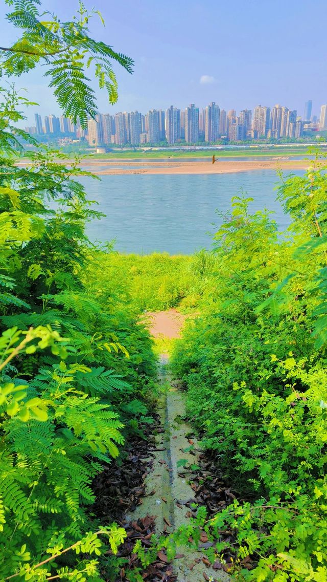 「重慶嘅春色終於都藏唔住啦？」