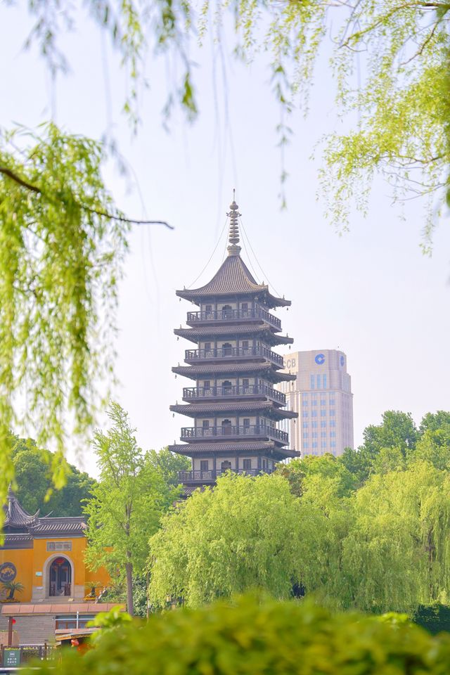 嘉興嘅環湖綠道，醫好我嘅近視呀