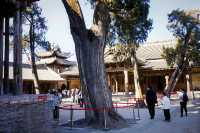 汾城古建築群｜山西「活著的古縣城」