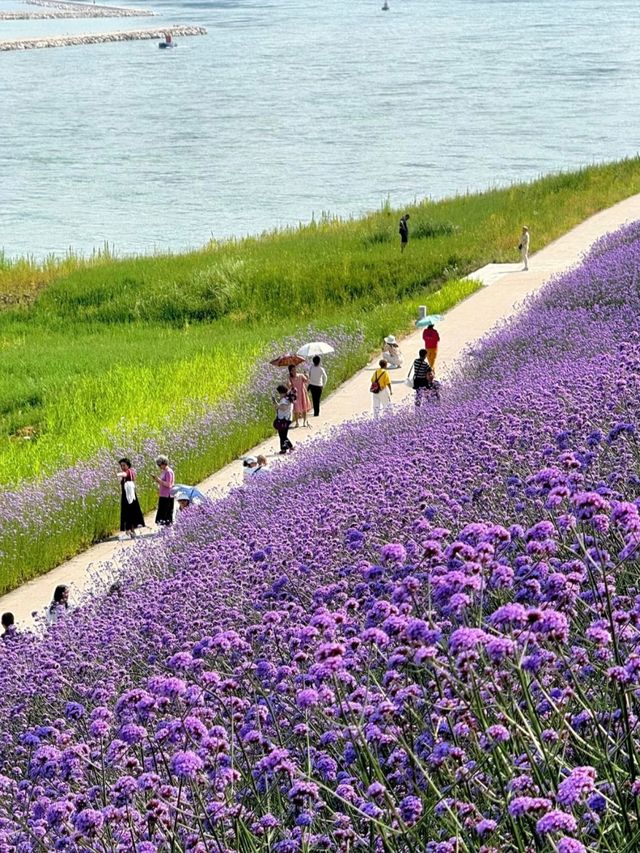 重慶今日殺瘋了