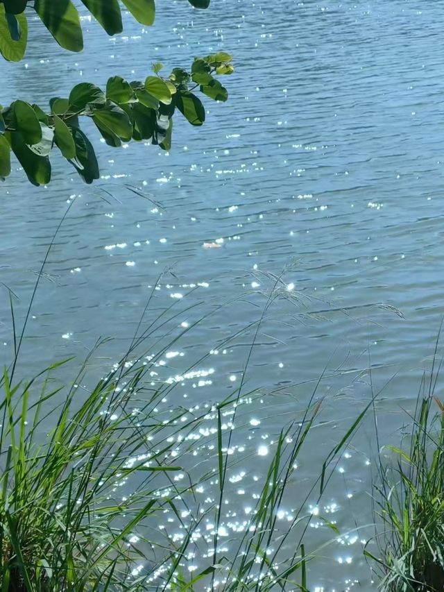左海公園旅遊攻略：邂逅福州嘅城市綠洲