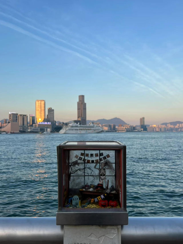穿越城巿跨越山海！香港不只有繁華，搭雙層巴士玩盡赤柱+九龍夜景攻略🚍