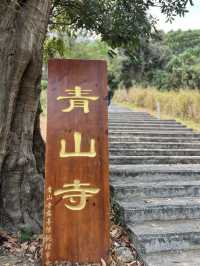 屯門舊日風景：從蝴蝶灣到青山寺的時間散步