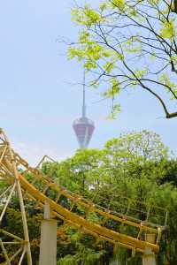 成都寶藏公園！湊仔吸氧兩不誤！