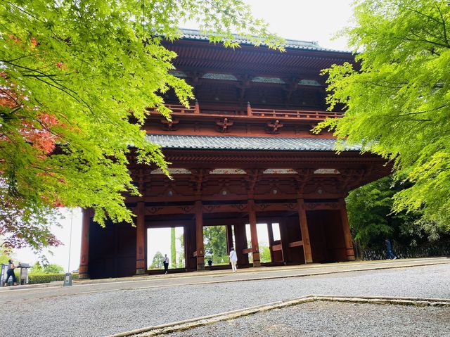 壇上伽藍的春日：在高野山相遇