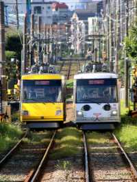 🚃東京必打卡！通往幸福的招財貓電車🚃