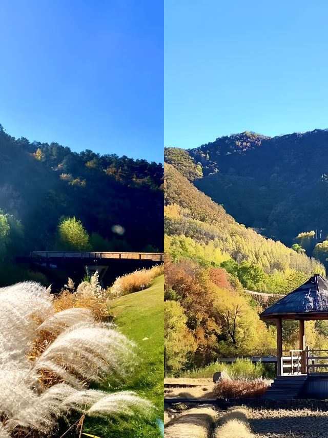 熱河谷溫泉度假營地：隱於北國的療癒秘境
