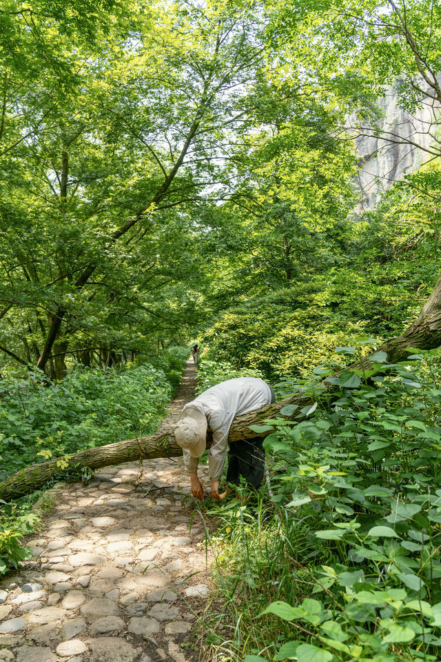 紹興｜建議能量低嘅都嚟行下呢條行山路線