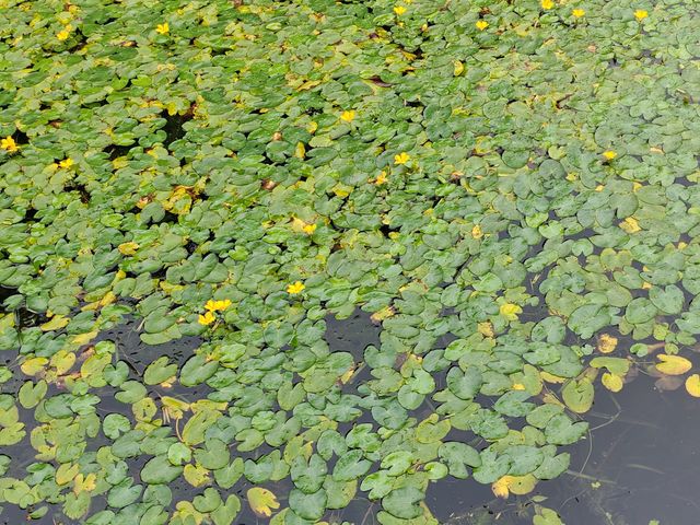 南京2日遊（金陵雙日·六朝煙水）