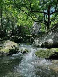 邂逅樂清 | 解鎖小眾寶藏旅行地