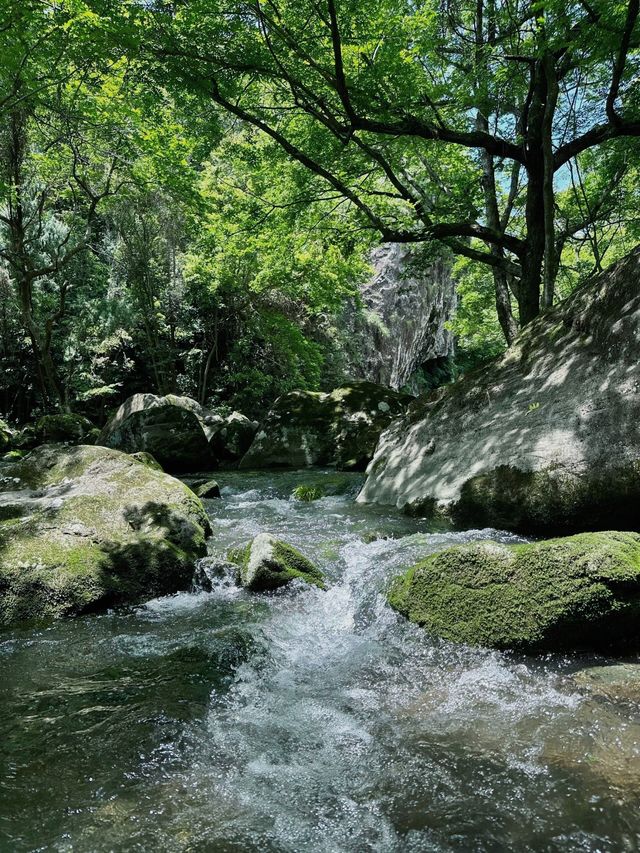 邂逅樂清 | 解鎖小眾寶藏旅行地