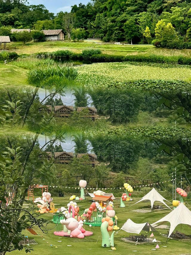 免費溯溪露營！夏日寶藏地大揭秘！