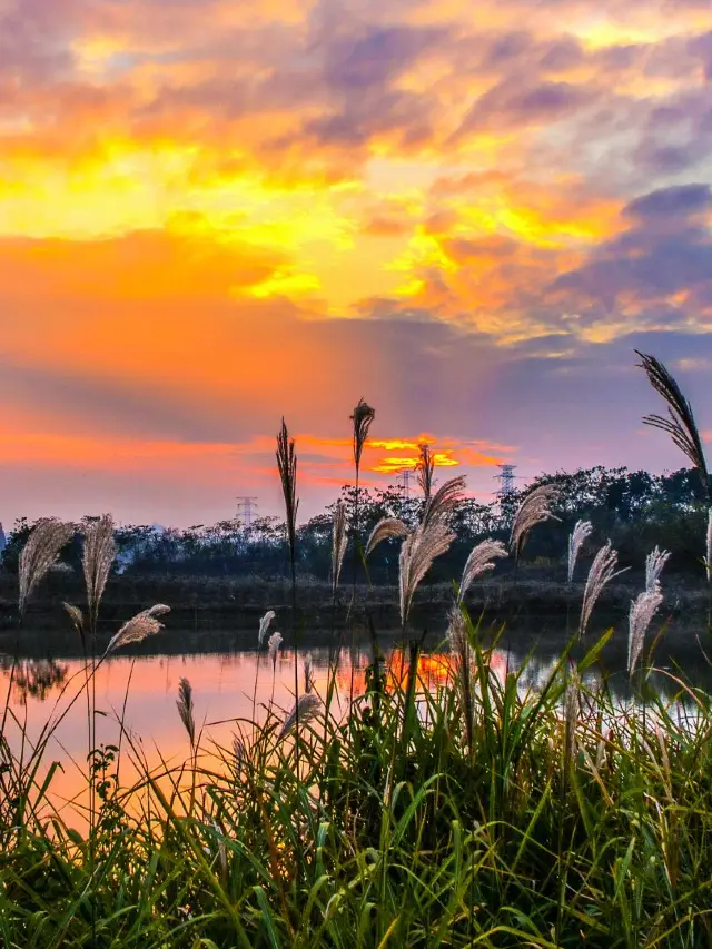 South Korea Trip: Enjoy an Exciting Adventure for Just $4K Per Person!